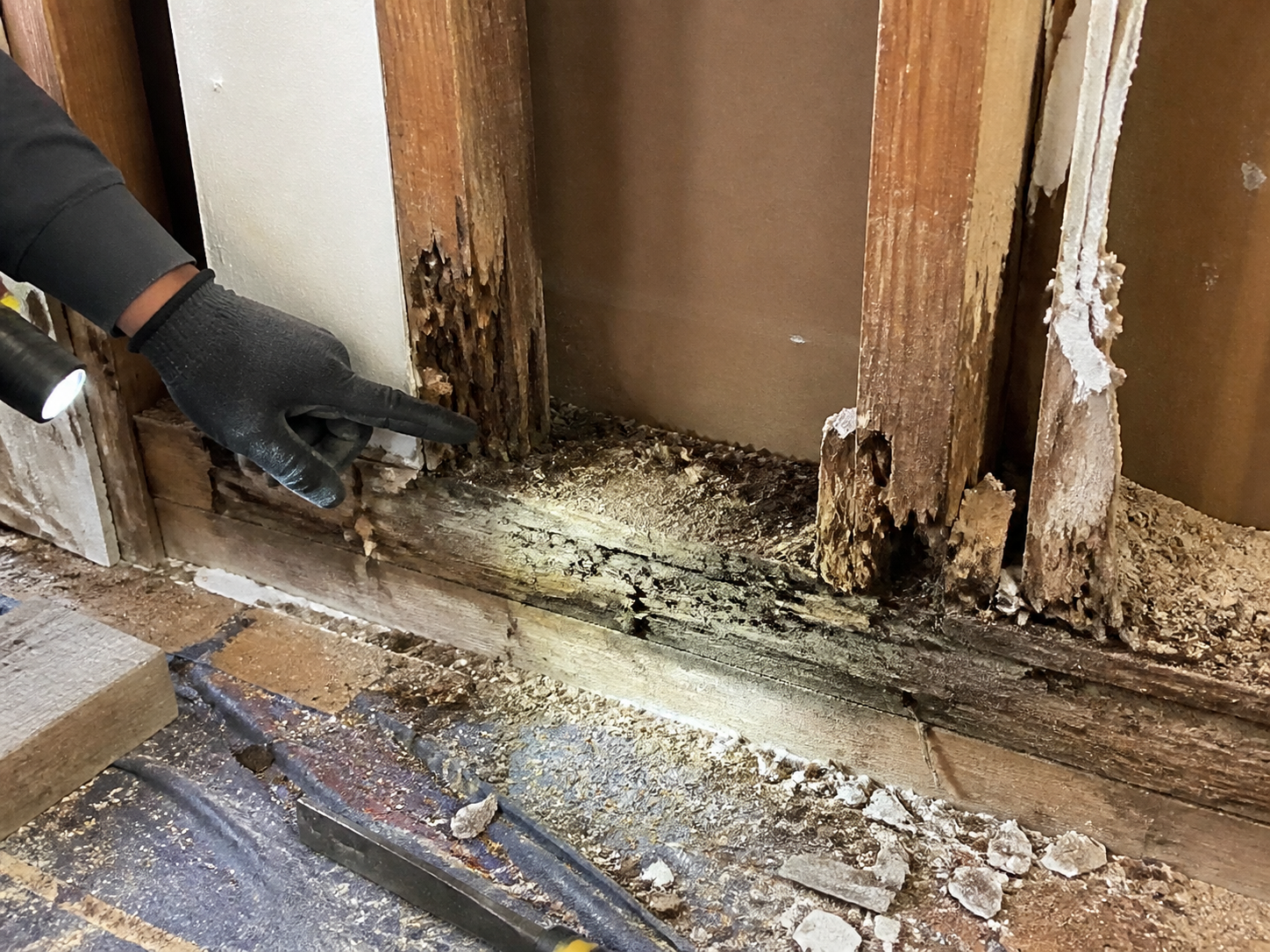 Rot damage discovered in existing framing during a remodel